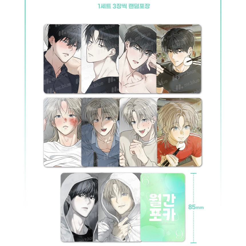 VORBESTELLUNG No Return After Use Photocards