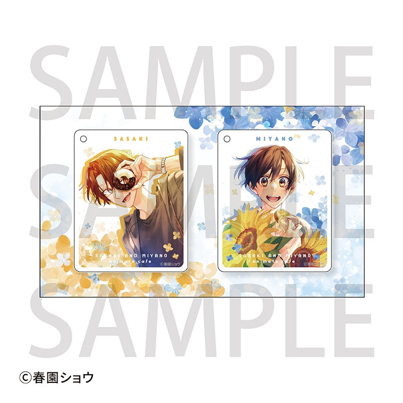 VORBESTELLUNG Sasaki & Miyano Schlüsselanhänger Set A